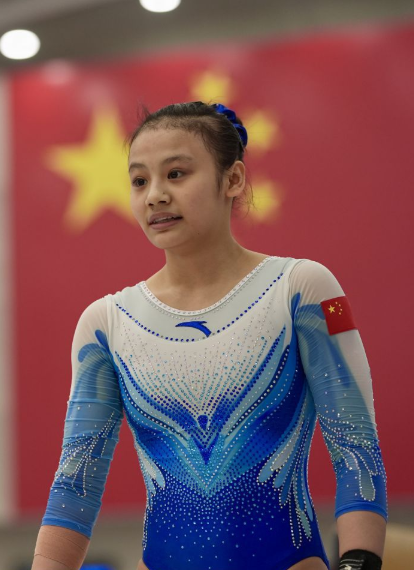 凤凰彩票平台的便捷登录服务